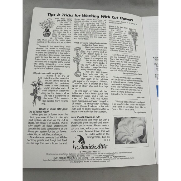 Crochet Floral Edgings Annies Attic Pattern Booklet 871921 Thread - Picture 3 of 5